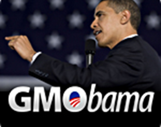 Obama tells farmer no need to worry about government over-regulation of agriculture