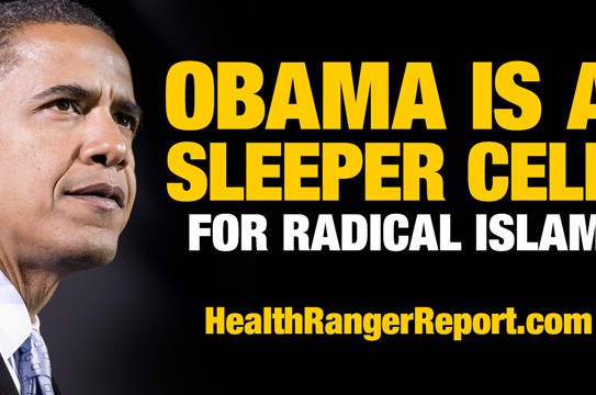 Obama-Sleeper-Cell